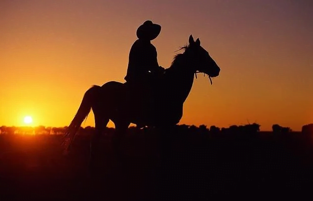 Cowboy Riding a Horse