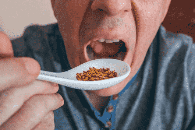 Did You Dream About… Eating Worms