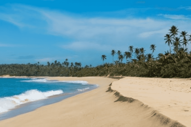 Did You Dream About… an Empty Beach