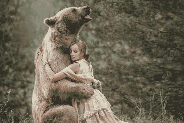 Did You… Dream About Hugging a Bear