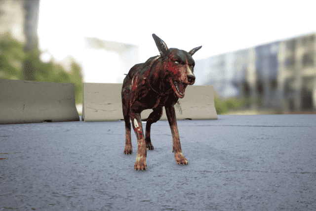 Zombie Dog