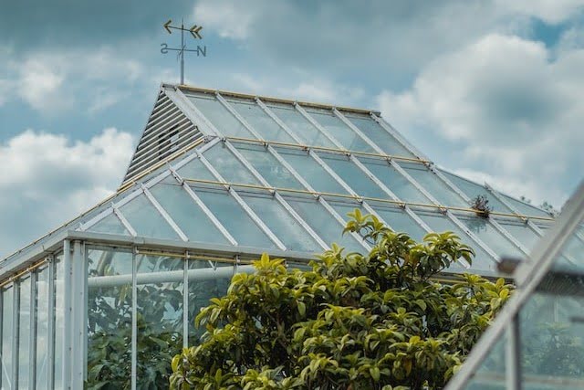 A Glass House