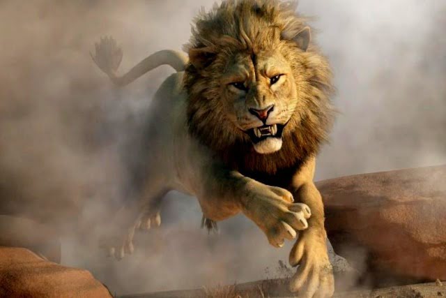 Did You Dream About… A Lion Attacking