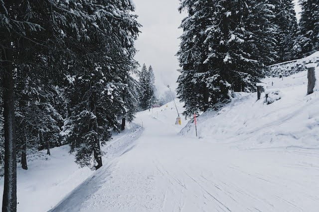 Did You Dream About… Snowy Weather